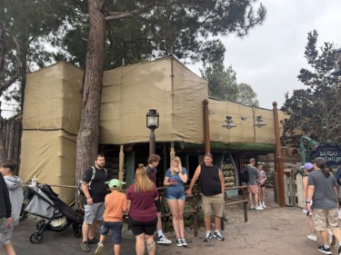 Disney Replacing Real Grass With Artificial Grass at Ray’s Berets