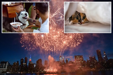 NYC veterinarian reveals tips to keep your fireworks-sensitive pets safe this 4th of July