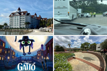 Over 400 Alligators Have Been Removed From Walt Disney World Since 2016 Tragedy – in Today’s Daily Recap for 06/11/2026