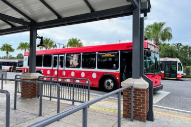 Complete Guide to Disney Buses (Schedules, Tips, Bus Stops)