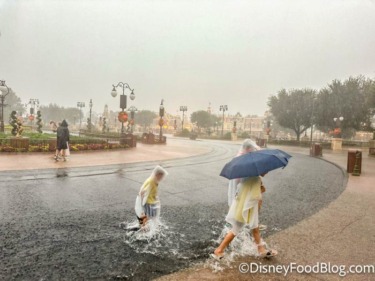 Hurricane Season Is Here — This Is What You Can Expect at Disney World This Year