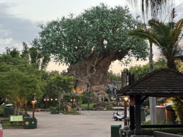 Heat Advisory & Storms for Walt Disney World and Universal Orlando Resort, Temps Feel Like 105-111°