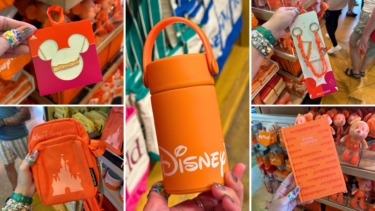 Full List With Prices of Orange ‘Park Hopper’ Logo Mania Collection at Walt Disney World