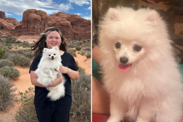 ‘Heartbroken’ owner demands $3M after NYC veterinarian allegedly ignored pregnant dog who died in labor