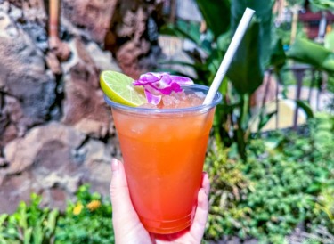 Why We’re RUNNING To Disney’s Polynesian Resort In October