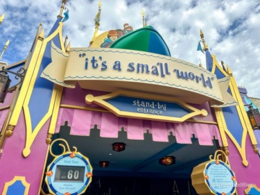 New Report Reveals 9 Incidents at Disney World, Including 1 Death
