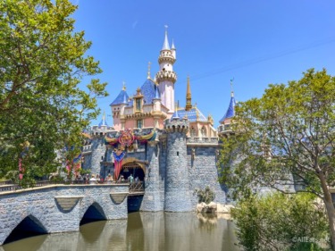 The Amazon T-Shirt Every Disney Grandma Will Be Wearing To Disneyland