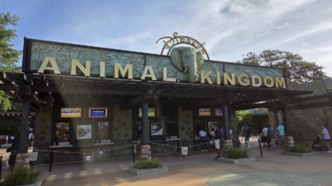 Disney’s Animal Kingdom Makes New Rope Drop Procedures Permanent