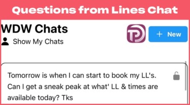 Questions From Lines Chat: Lightning Lane Preview