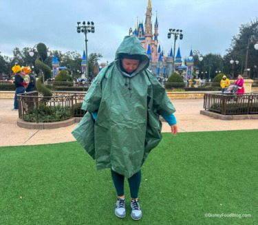 The Disney World Poncho That Cast Members Actually Recommend — And It’s $13 on Amazon