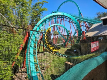 Busch Gardens Tampa bids farewell to Kumba as new coaster plans emerge