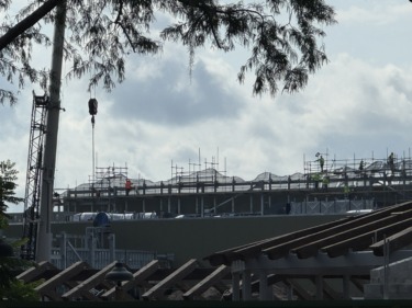 Photos: The Hills of Tropical Americas Take Shape in Latest Update from Disney’s Animal Kingdom