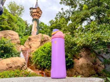 We Tested Disney World’s Heat at 100° — Two Water Bottles Kept Up