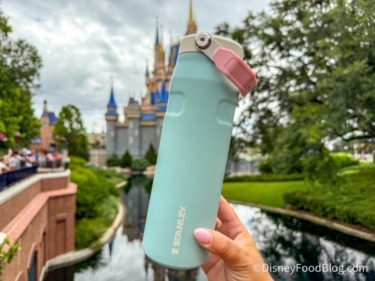 We Tested Disney World Water Bottles in 100° Florida Heat — One Was the Clear Winner