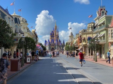 Woman Drops $50,000 Lawsuit Against Disney World After Tripping & Falling Over Magic Kingdom Trolley Tracks