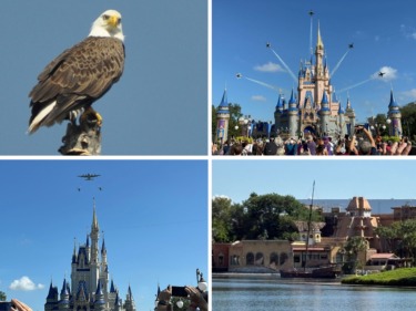 Disney Shares an Official ‘Salute to All Native Bald Eagles, but Mostly the Ones at Walt Disney World’ – in Today’s Daily Recap for 7/4/2026