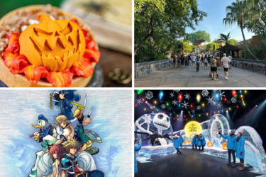 Full List of 2026 Mickey’s Not So Scary Halloween Party Menu Items, Plus Magic Kingdom Halloween Treats – in Today’s Daily Recap for 7/23/2026