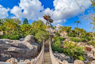 This NEW Disney World Permit Could Solve A Major Problem