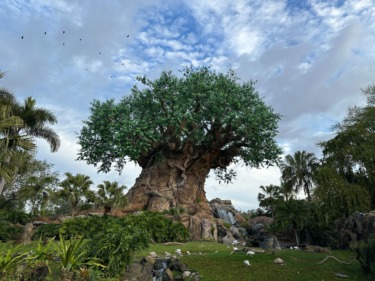 Disney’s Animal Kingdom Testing New Rope Drop Procedures