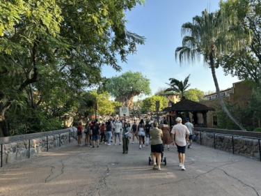 New Rope Drop Procedures Become Permanent at Disney’s Animal Kingdom