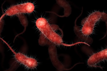 5 Louisiana residents infected with flesh-eating bacteria in 2026 have died