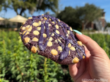I Tried 6 Purple Snacks in Disney World and the Cheapest One Was the Best
