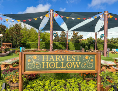 PHOTOS: Harvest Hollow Playground Finally Opens at EPCOT