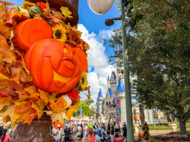 All The Rides Open During Mickey’s Not-So-Scary Halloween Party!