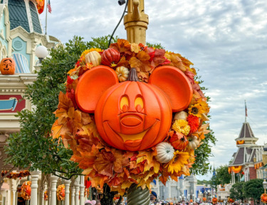 PHOTOS & VIDEO: The Iconic Mickey Pumpkins Arrive in Magic Kingdom