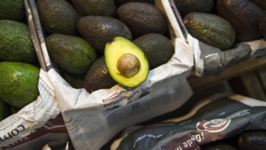 New Violent Action by Mexican Cartels Could Disrupt Avocados From Entering US Market