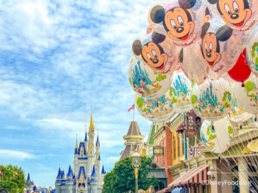 The Best Park Bag Product for Disney World, According To Our Testing