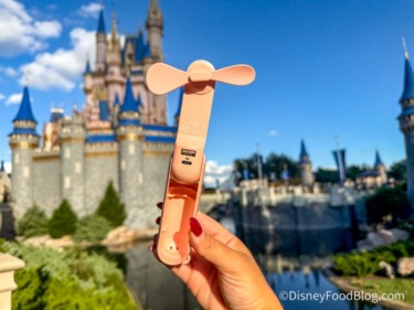 Going to Disney World Soon? You Don’t Want to Miss These Massive DEALS On Essentials