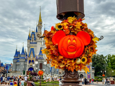 Your Magic Kingdom Photos Are About to Be 10X Better