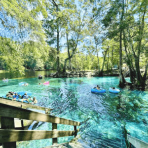 The Best Florida Springs Near Tallahassee for Summer