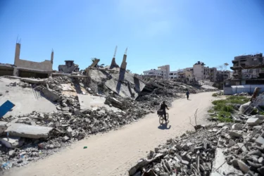 Venice: Palestine-Israel Conflict Set To Be Hot Button Topic As Open Letter Calls For Festival To Take Concrete Action In Support Of Palestine