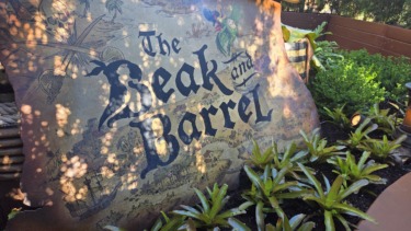 Magic Kingdom Installs Barstools at The Beak and Barrel Lounge