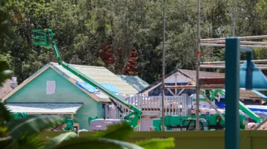 New Roof Framing and Rockwork Spotted at Tropical Americas in Animal Kingdom