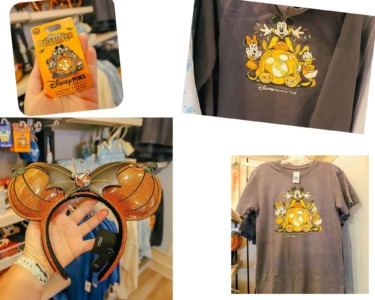 2026 Disney Vacation Club Halloween Merchandise: A Photo Report