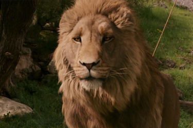 More Filming Underway On Gerwig’s “Narnia”