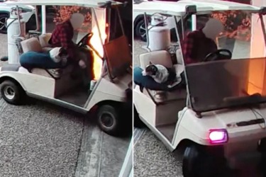 Man armed with flamethrower and his canine accomplice set house on fire and escape on golf cart