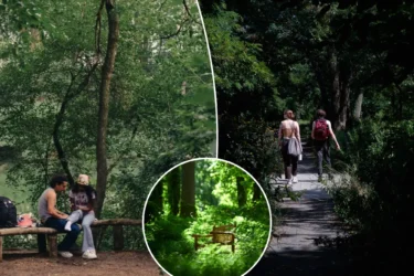 NYC is more than 20 percent open space — and most spend their lives rushing past some of our best, secret parks