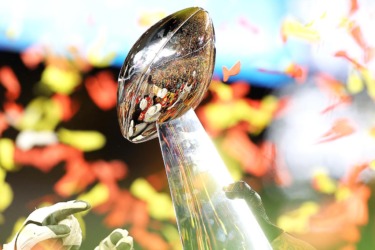 How To Watch The NFL Hall of Fame Game 2026 For Free: Channel, Time, Free Live Stream Options