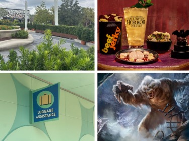 EPCOT’s Problematic In-Ground Lighting Being Permanently Removed- In Today’s Daily Recap for 8/18/2026