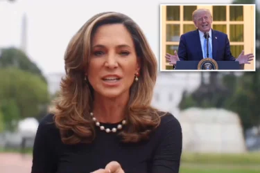 Trump-backed GOP rep breaks with president on immigration enforcement: ‘Gone too far’ 