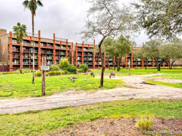 2022 wdw atmos dakl disneys animal kingdom lodge animals 80