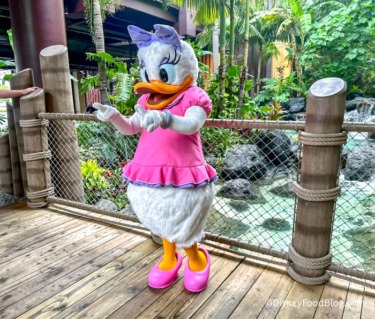 2023 wdw disneys polynesian village resort daisy duck character meet and greet atmos