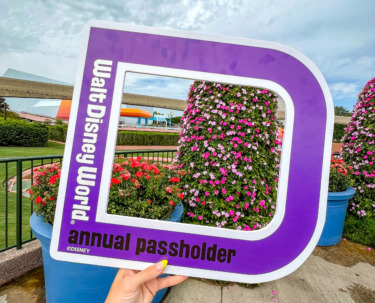 2023 wdw epcot vipassholders annual passholders photopass figment photo props opps 2 scaled