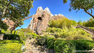 2024 wdw dak atmo expedition everest ride