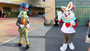 2026 wdw dhs hollywood studios magic of disney animation roaming characters
