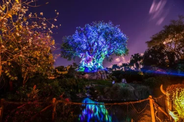 Our Favorite Restaurants in Animal Kingdom